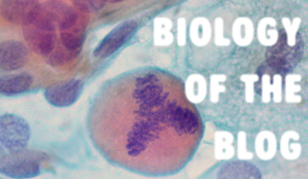 Biology of the Blog with DJ Jess - BreakThru Radio